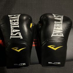 Everlast Elite Boxing Gloves