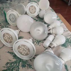 Light Bulbs