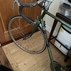 Raleigh Bicycle 