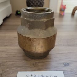 Brand New Brass Check Valve For A Well