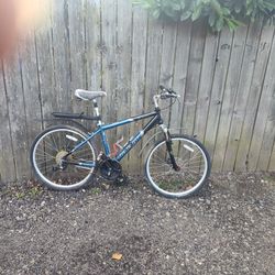 Raleigh SC600 With Accessories: Light, And Rear Rack