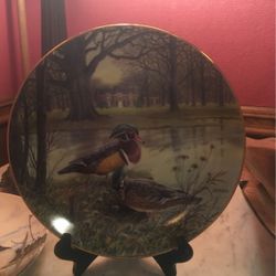 Plate From A Collection 