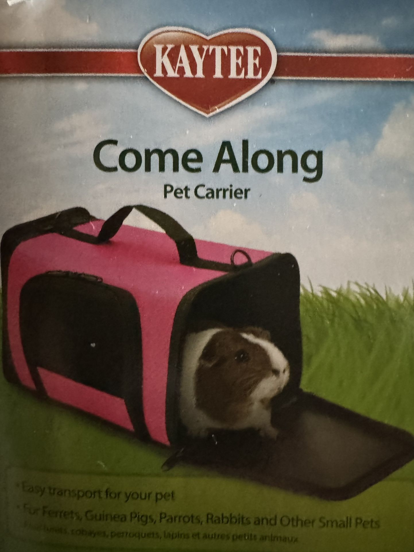 Guinea Pig Supplies (free) (what’s Pictured Is Whats Available)