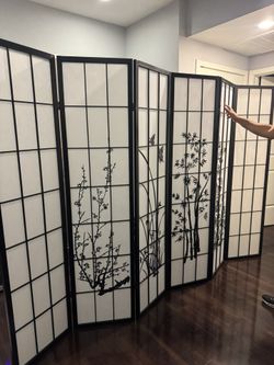 Room Dividers 6 Door