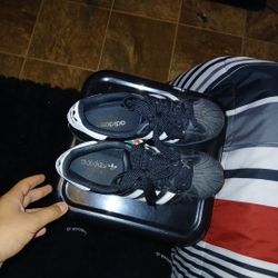 Adidas Super Star 