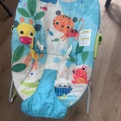 Baby bouncer