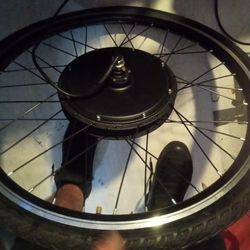 Electric Motor
