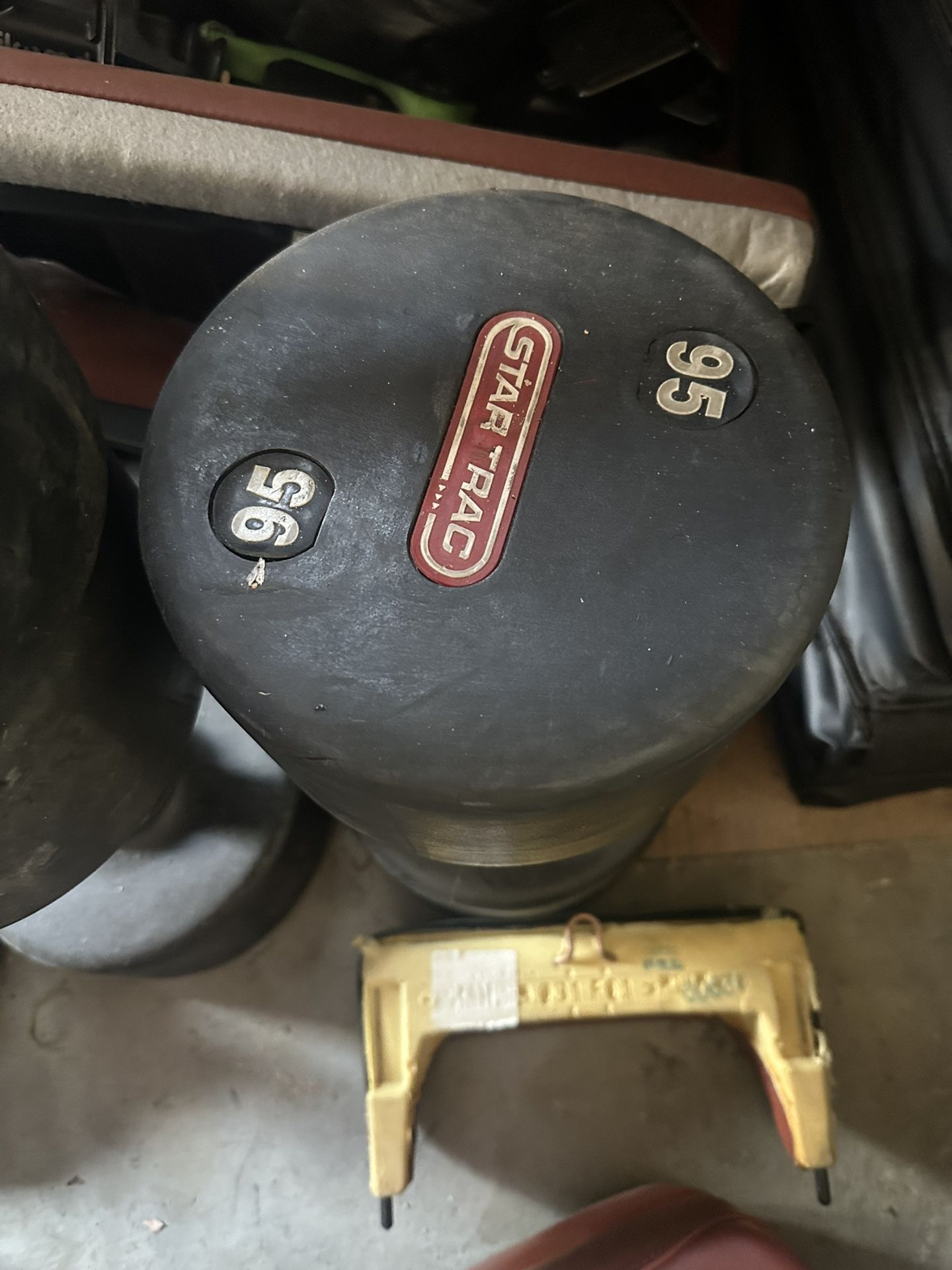 95 lb Star Trac Dumbbell – Commercial Quality