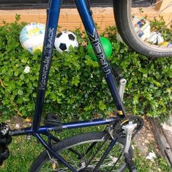 Trek 800 Mountain Bike 