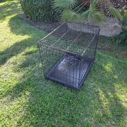 24 in pet cage!