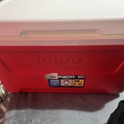 Igloo Cooler Brand New 