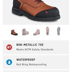 Red Wing - BRNR XP - Size 13