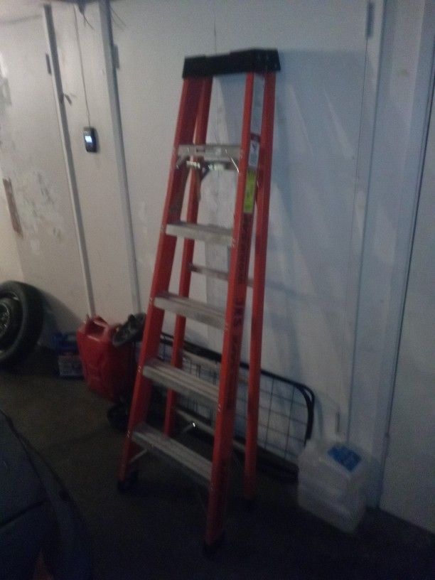 6ft Ladder 