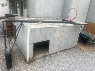 Dog House