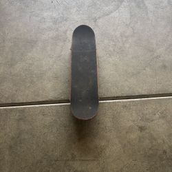 Kids Skate Board