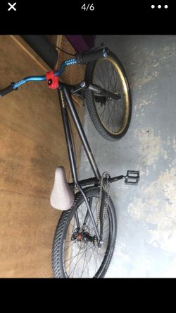 Eastern mad hotsell dog dirt jumper