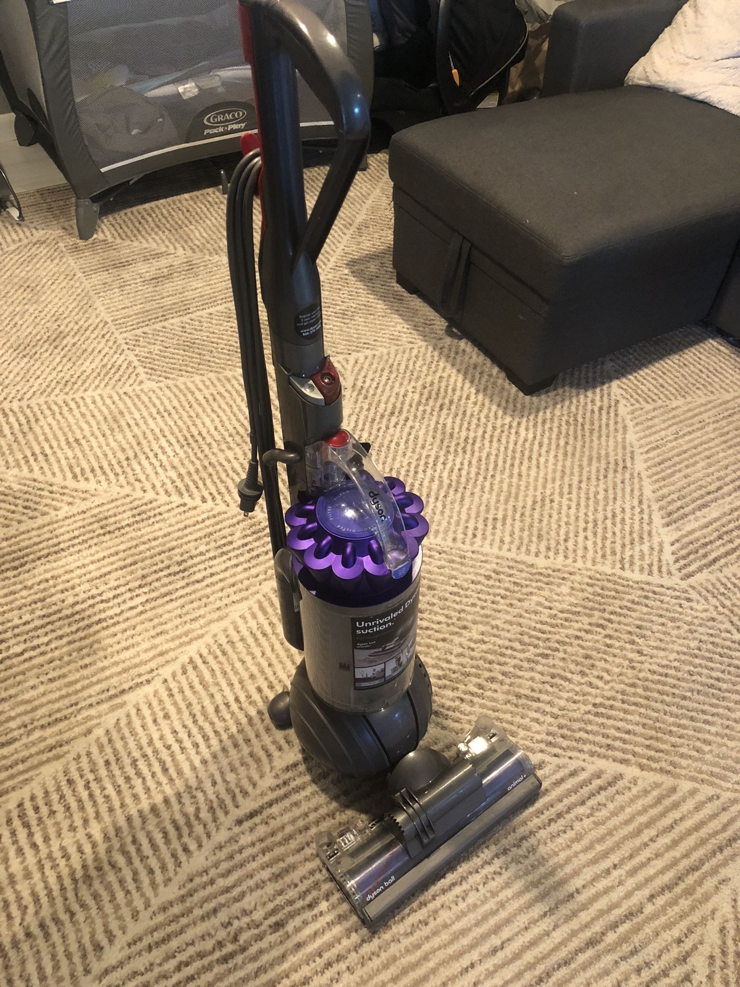 Dyson Animal + Vacuum