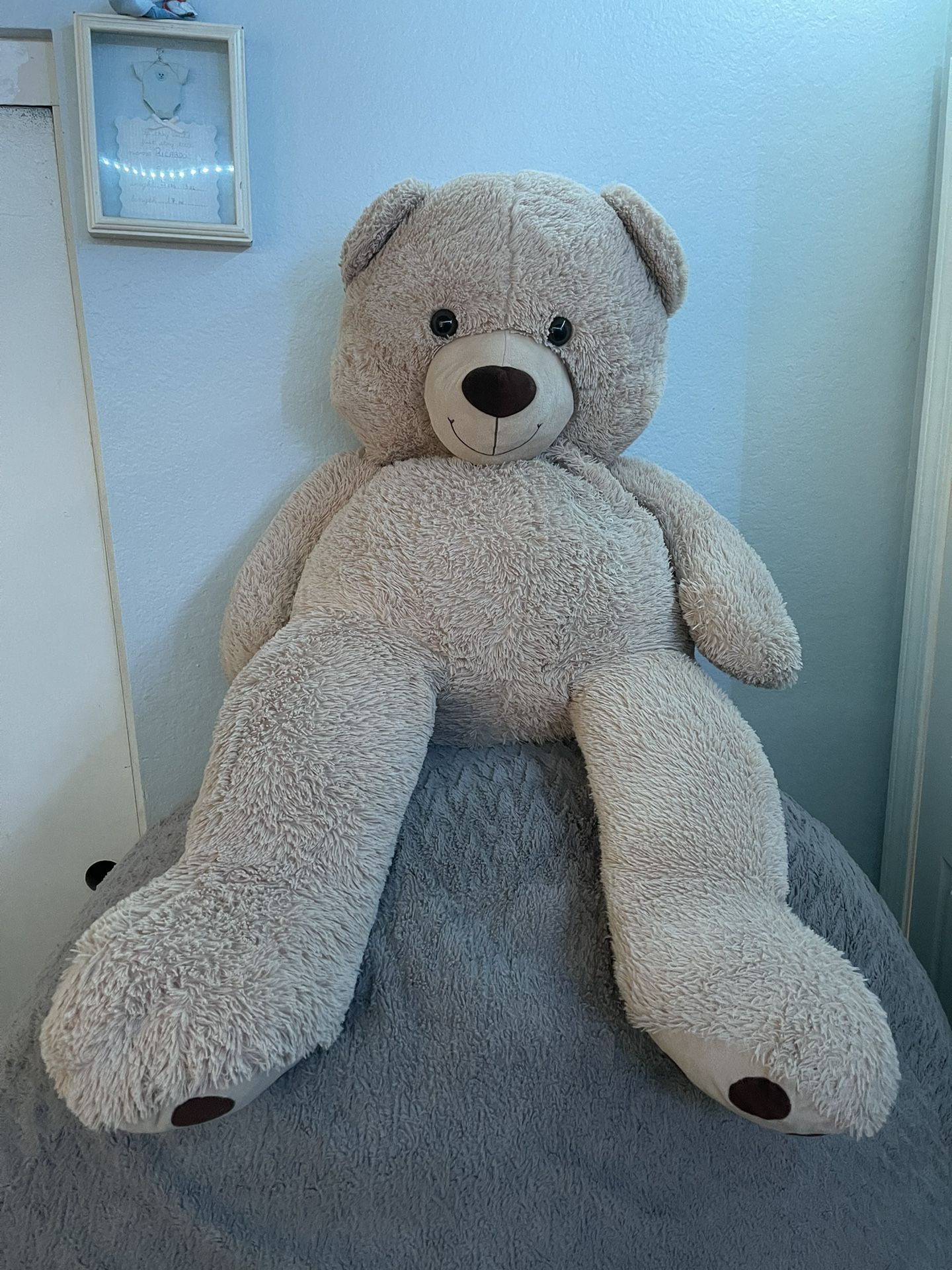 Teddy Bear