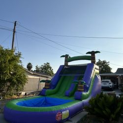 Waterslide For Sale 