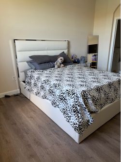 Cortina White  Uph Platform Bed