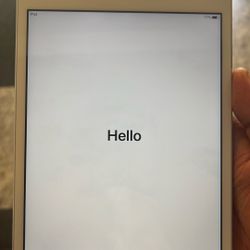 Mini iPad 7th Generation 
