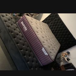 Purple Rejuvenate Luxe 