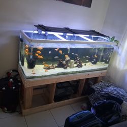 Fish Tank Pump