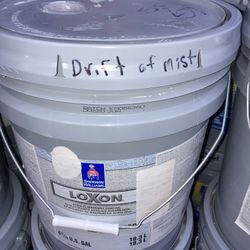 Paint Extrior Flat Light Gray 