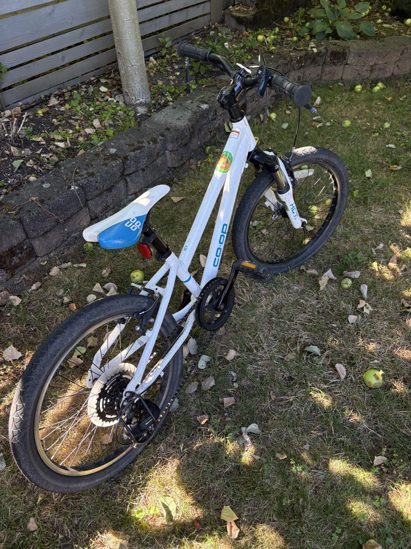 🚲 REI REV 20 6-Speed Kids' Bike