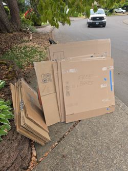 Free moving boxes