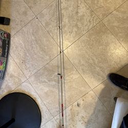 (2) Catch More Fish, Rods