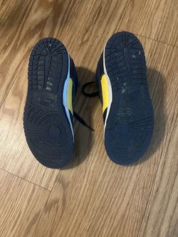 Nike Dunk Low Michigan 