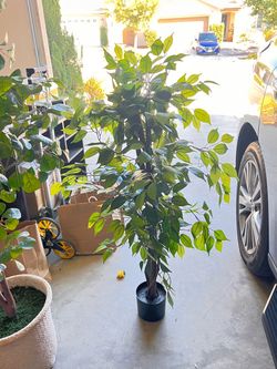 Decorative tree