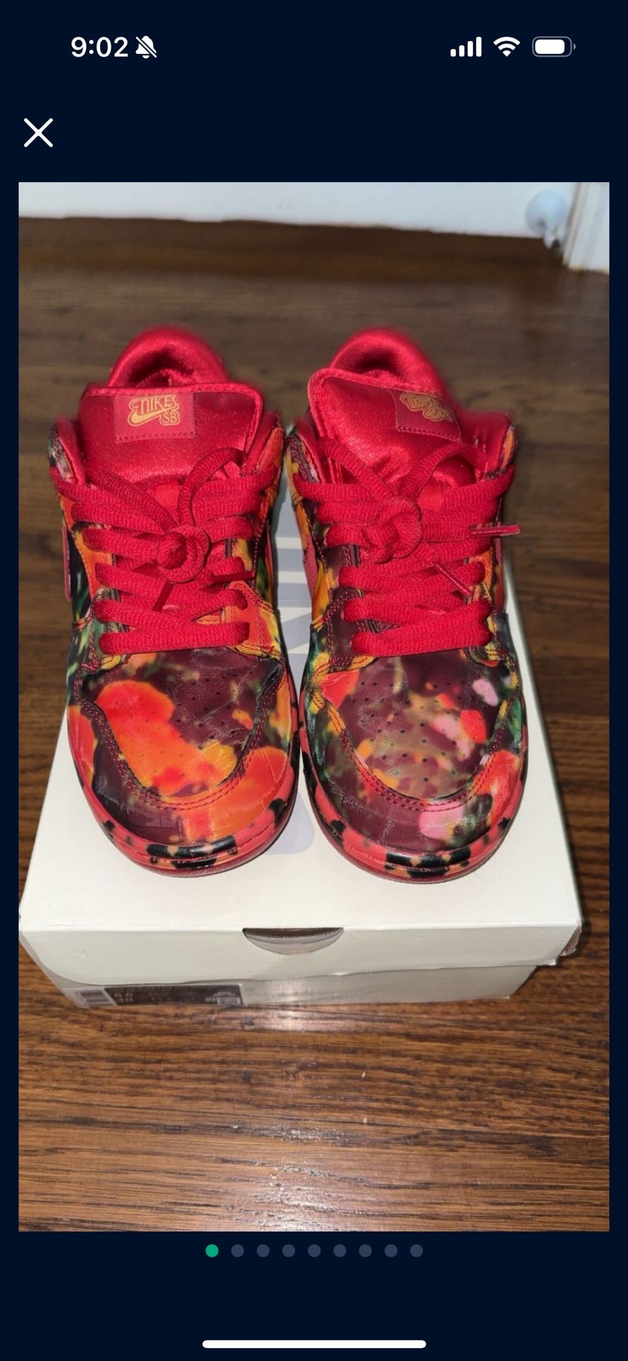 The Wizard of Oz x Dunk Low SB