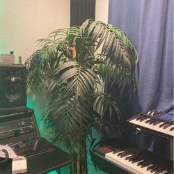 Faux Plant (5 Feet)