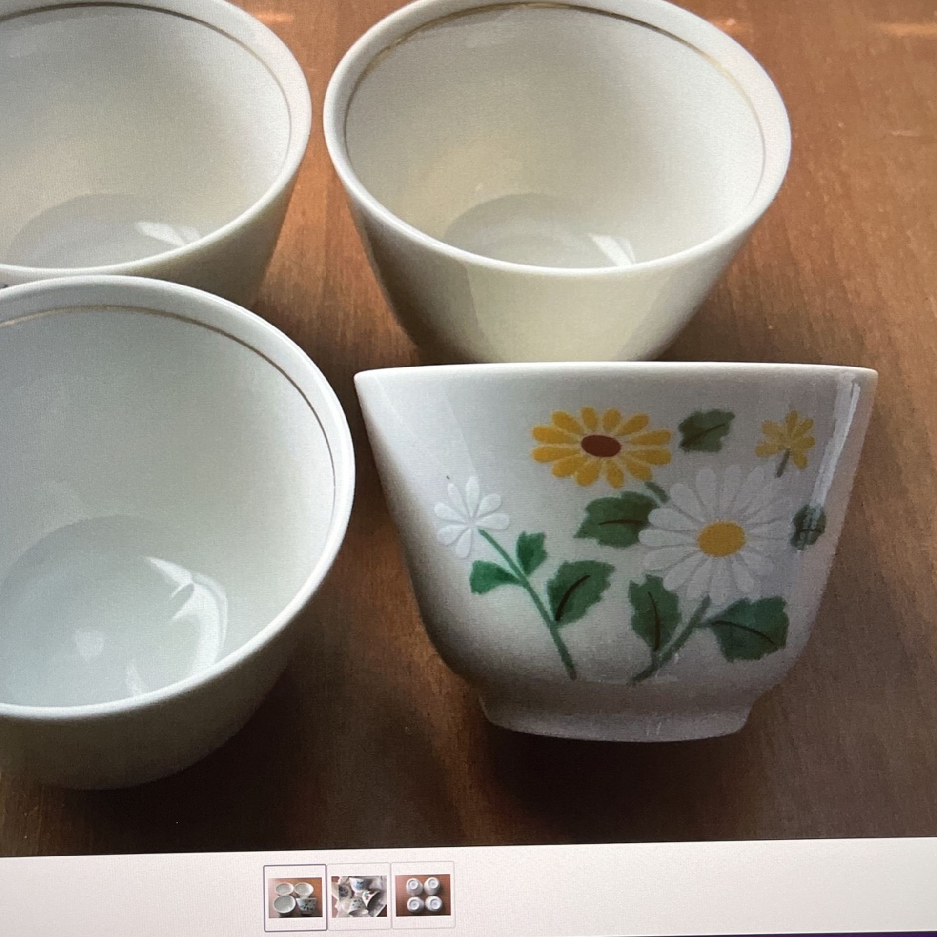 Vintage Tea Cup Plants Design