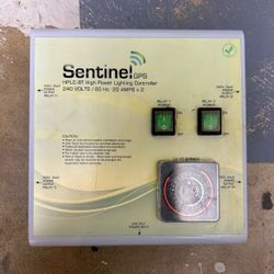Sentinel 2 Banks/8 Light Controller W/ Timer