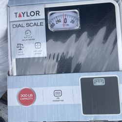 Scale (dial) 