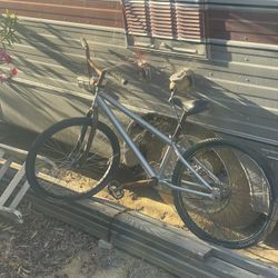 Mira Co 29in Cruiser