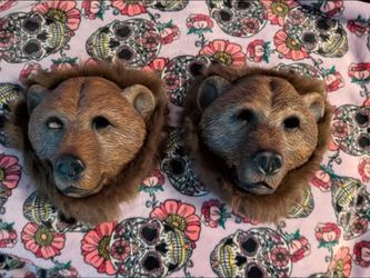 Pair of realistically styled Bear Masks with Fur