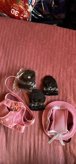 Puppy Hat Size L , Harness Size M, Shoes Size XXXL