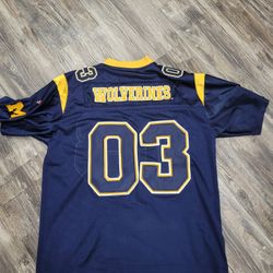 PRO PLAYER MICHIGAN WOLVERINES BLUE #03  JERSEY, VG Med. 