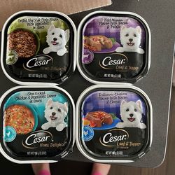 Cesar Wet Dog Food