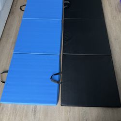 2 Workout Mats