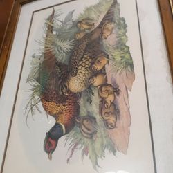 Game Birds By Cartier F64-462