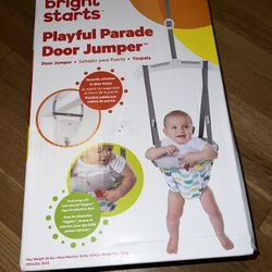 Bright Starts Baby Bouncer 