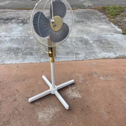 Standing Fan
