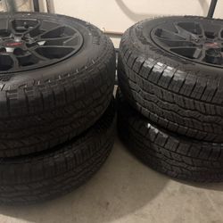 WILDPEAK A/T FALKEN Tires