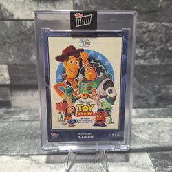 Toy Story 30th Anniversary 