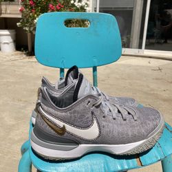 Nike Zoom LeBron NXXT Gen 'Wolf Grey'